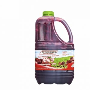 Canoa Garrafa Pulpa de Mora 64oz